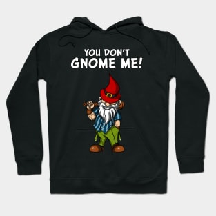 You Don't Gnome Me Funny Fairy Garden Gnomes Hoodie